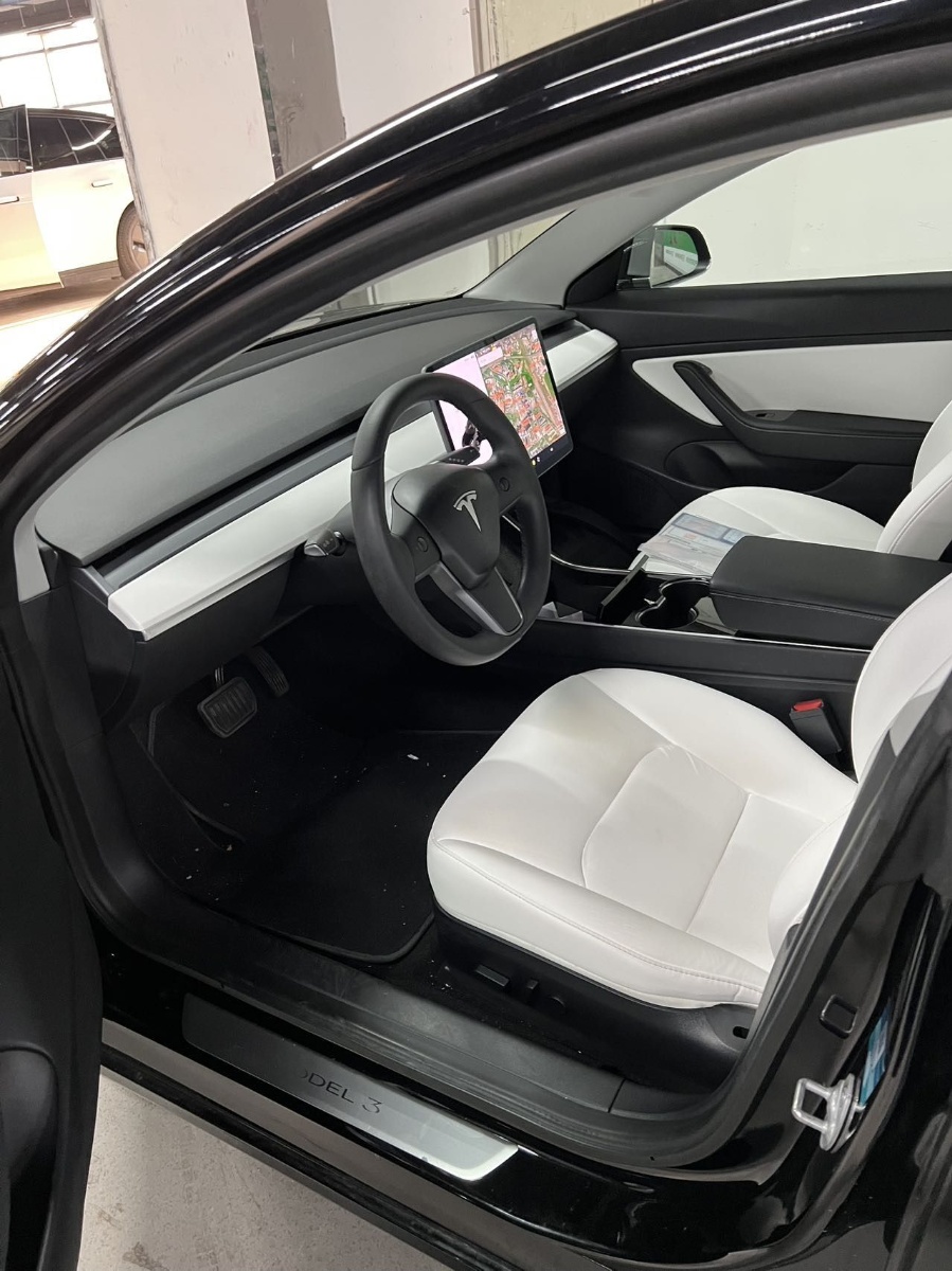 Tesla Model 3 (Imported) 2020 car image #4