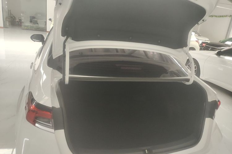 Toyota Corolla 2021 car image #19