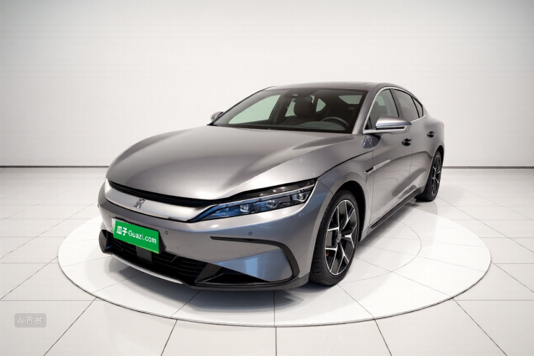 BYD Han 2022 imagen de coche #2