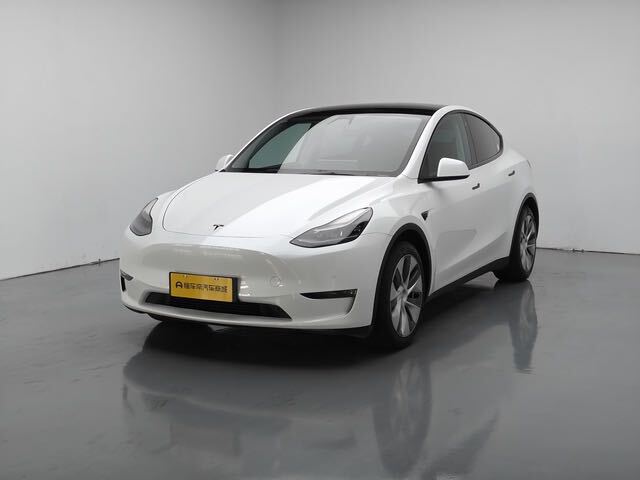 Tesla Model Y 2021 Tesla Model Y 2021 car image