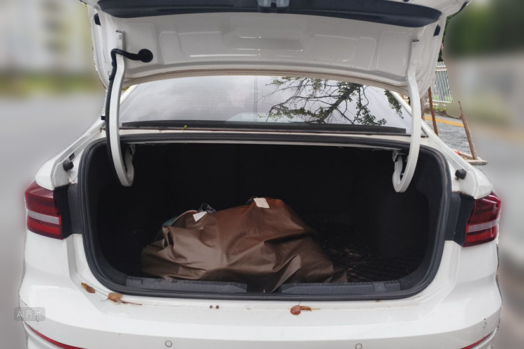 Volkswagen Lavida 2021 car image #21