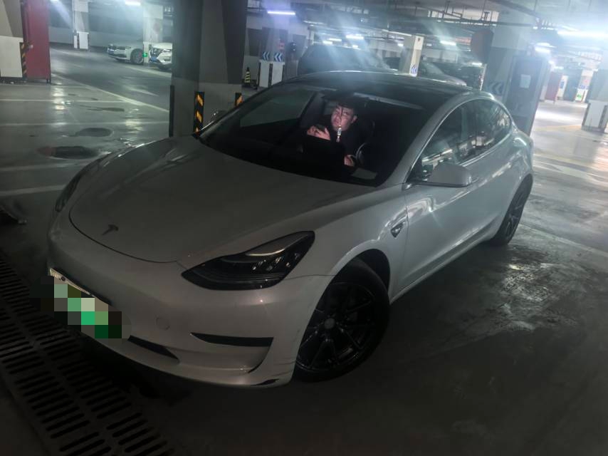 Tesla Model 3 2020 Tesla Model 3 2020 car image