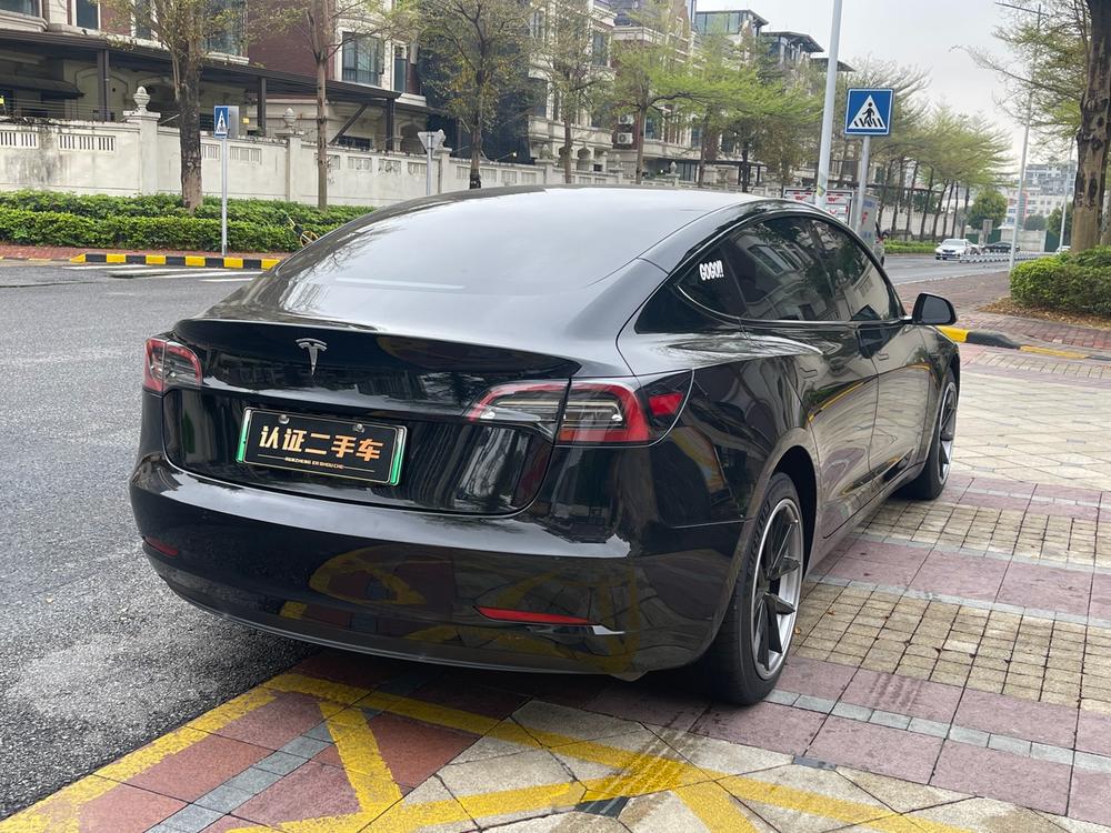 Tesla Model 3 2021 #6 Tesla Model 3 2021 car image #6