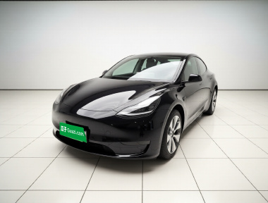 Tesla Model Y 2021 Tesla Model Y 2021 car image