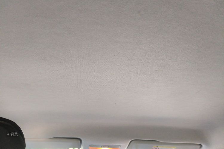 Volkswagen Santana 2022 car image #20