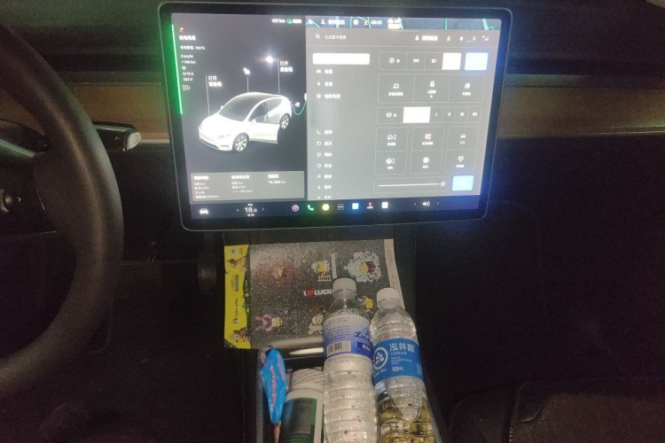 Tesla Model Y 2021 #14 Tesla Model Y 2021 car image #14