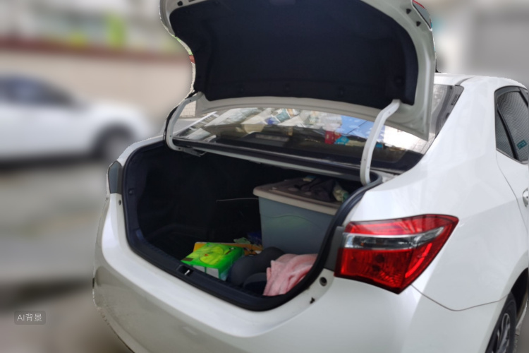 Toyota Corolla 2017 car image #21