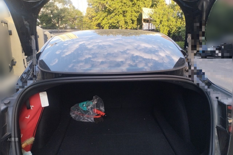 Tesla Model 3 2020 car image #21