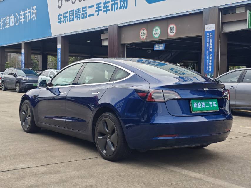 Tesla Model 3 2021 car image #6
