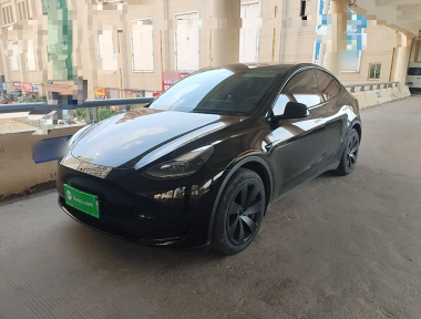 Tesla Model Y 2022 Tesla Model Y 2022 car image