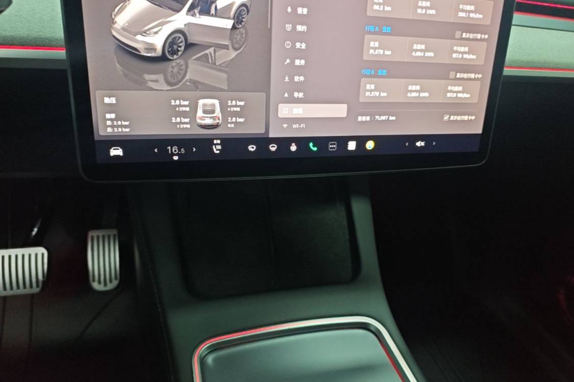 Tesla Model Y 2024 car image #19
