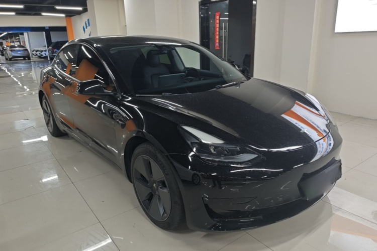 Tesla Model 3 2022 immagine di auto #4