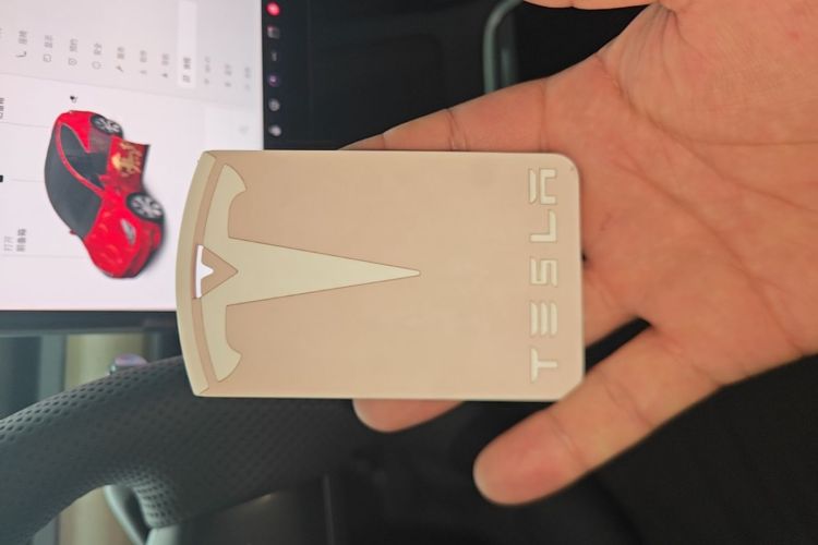 Tesla Model Y 2021 car image #9