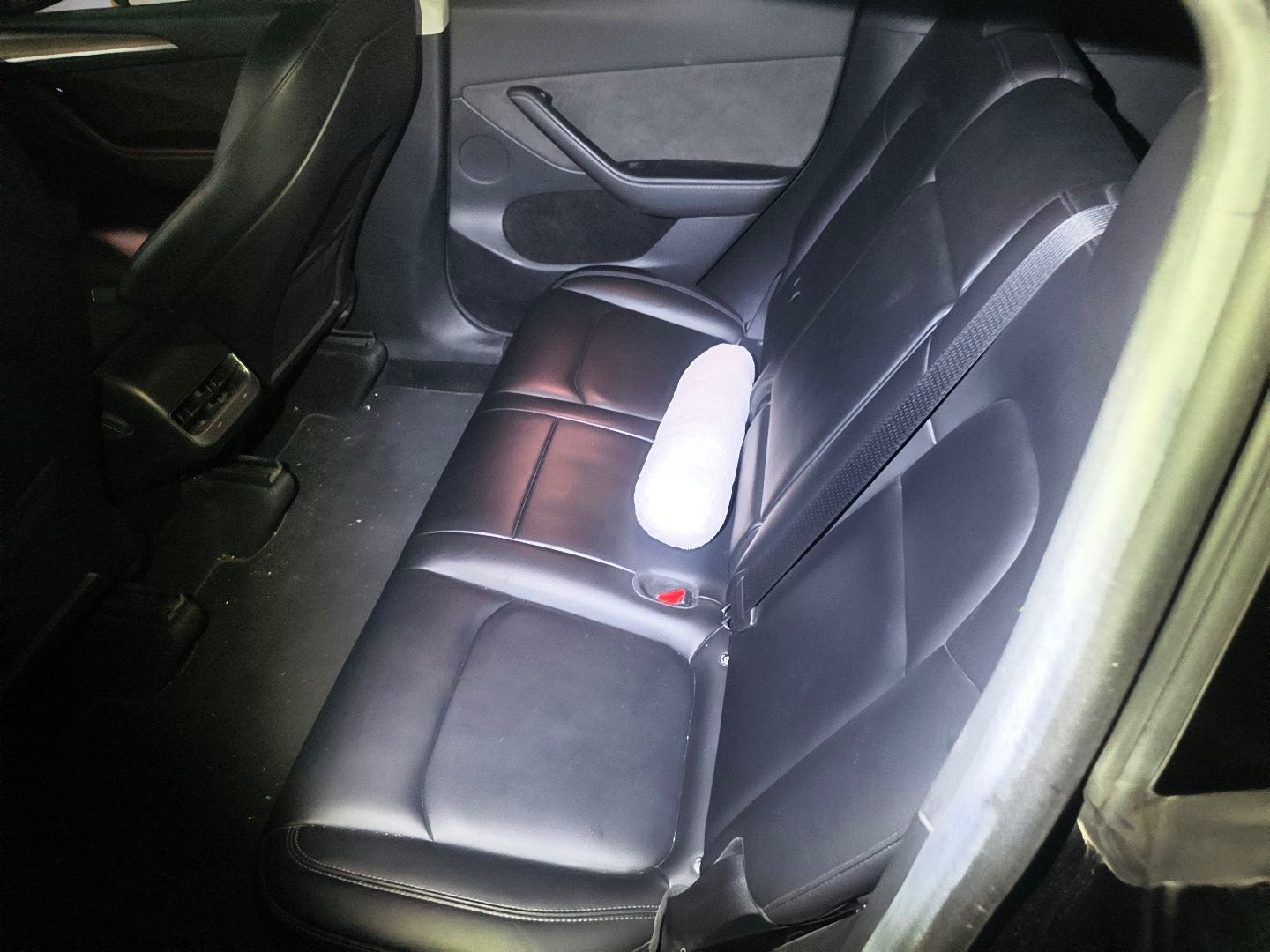 Tesla Model Y 2022 car image #10