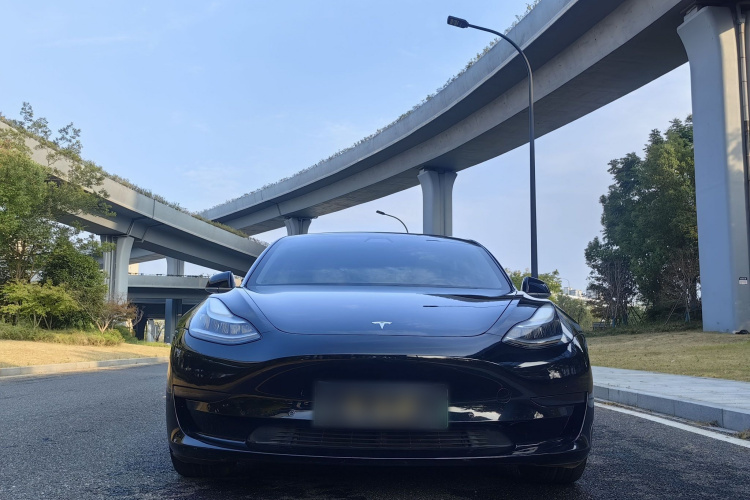 Tesla Model 3 2020 #3 Tesla Model 3 2020 صورة سيارة #3