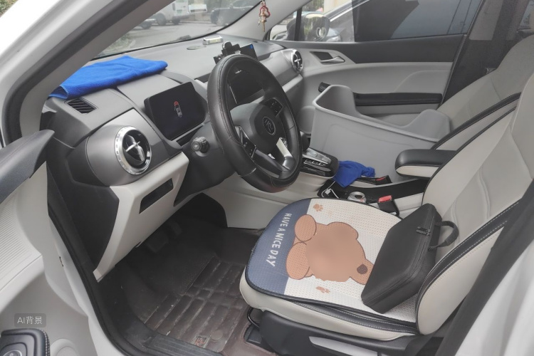BYD Yuan Pro 2021 car image #18