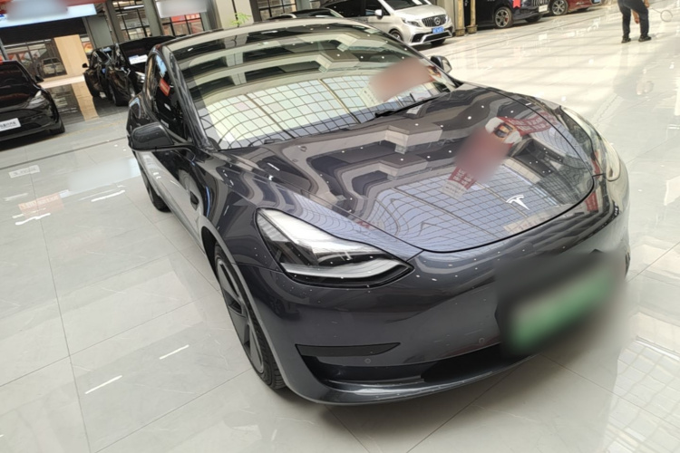 Tesla Model 3 2021 car image #4
