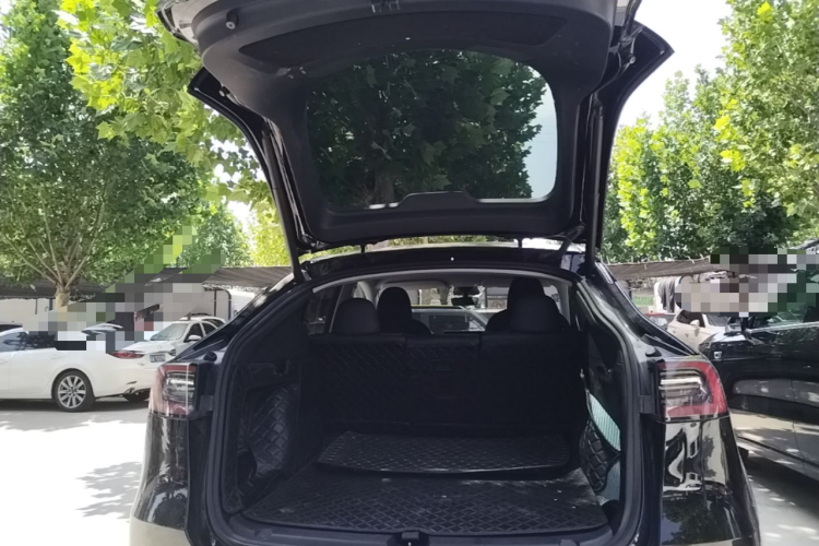 Tesla Model Y 2022 car image #19