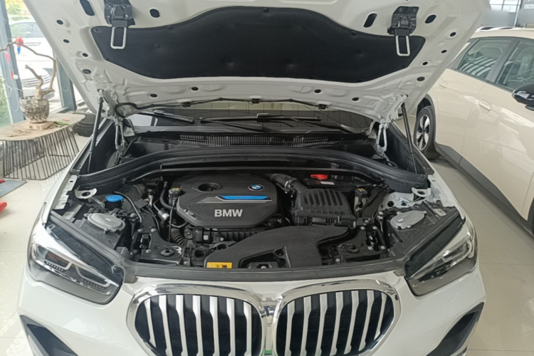 BMW X1 New Energy 2020 car image #20