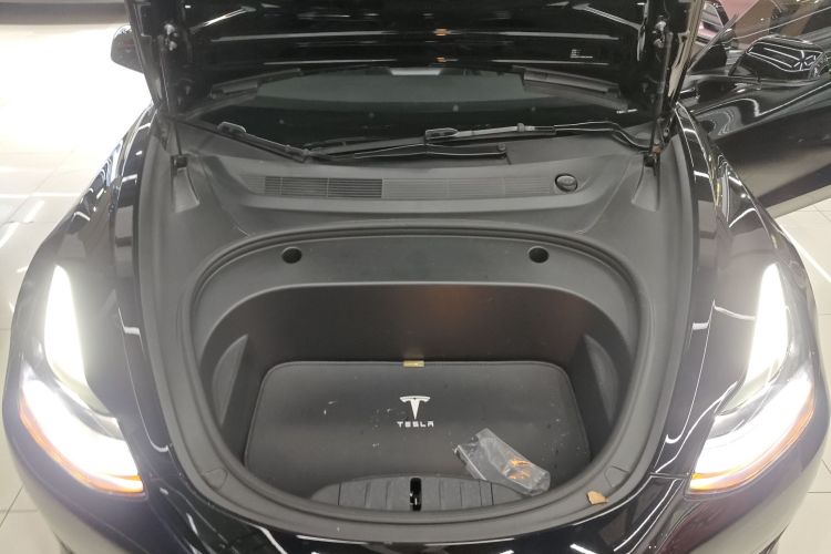 Tesla Model 3 2021 car image #20