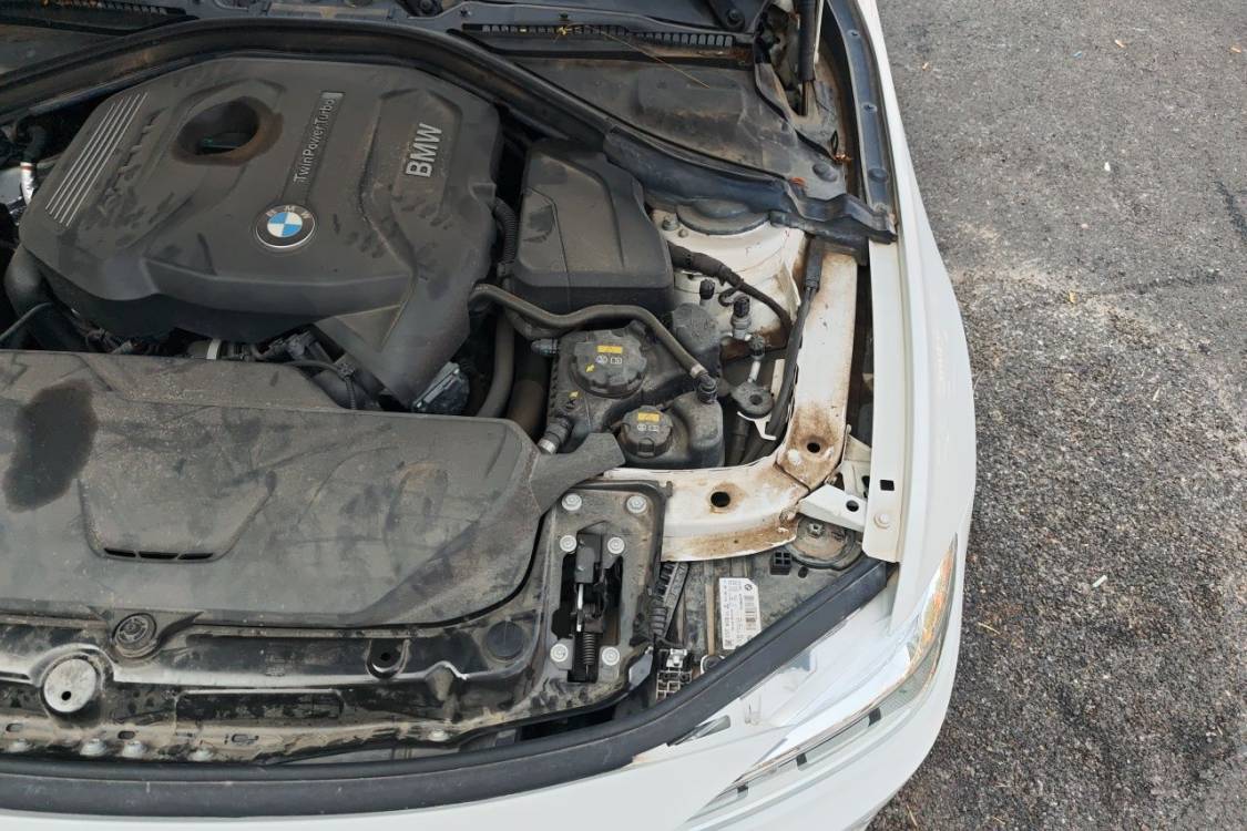 BMW 3 Series 2019 car image #12