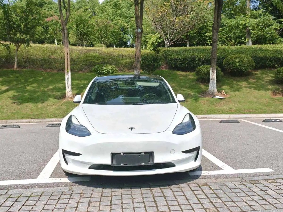 Tesla Model 3 2022 #2 Tesla Model 3 2022 car image #2