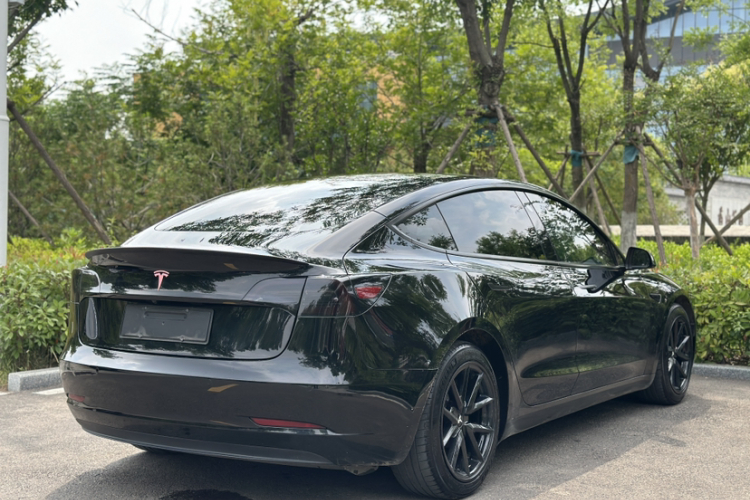 Tesla Model 3 2021 #3 Tesla Model 3 2021 car image #3