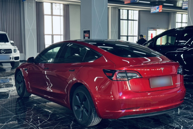 Tesla Model 3 2021 #5 Tesla Model 3 2021 car image #5