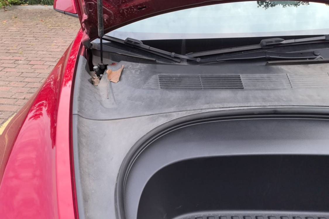 Tesla Model 3 2024 immagine di auto #11