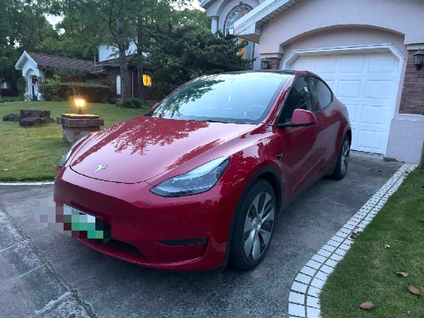 Tesla Model Y 2021 Tesla Model Y 2021 car image