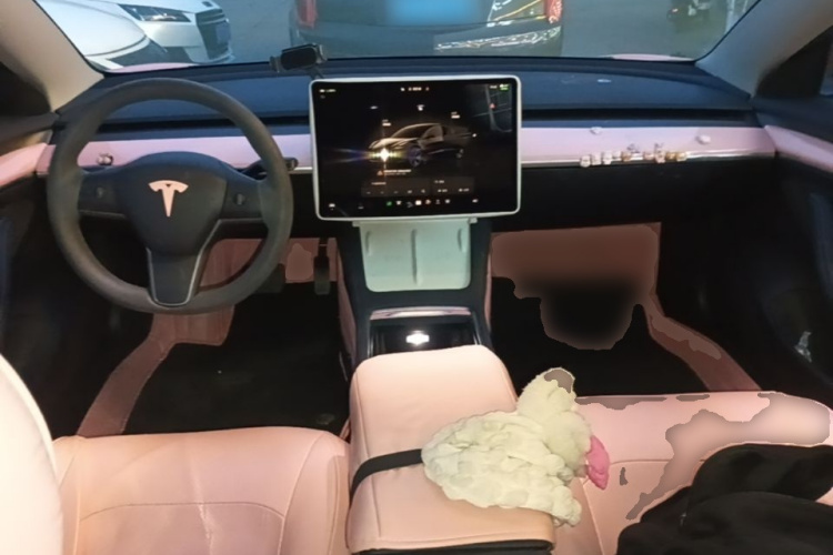 Tesla Model 3 2022 car image #10