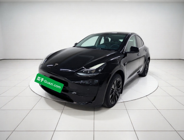 Tesla Model Y 2023 Tesla Model Y 2023 car image