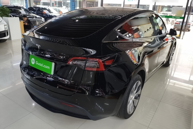 Tesla Model Y 2021 car image #5