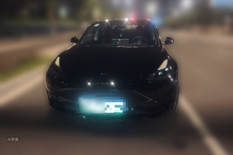 Tesla Model 3 2021 #3 Tesla Model 3 2021 car image #3