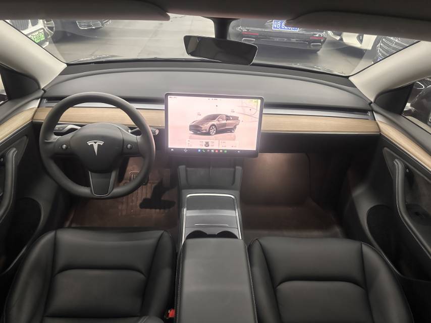 Tesla Model Y 2022 car image #6