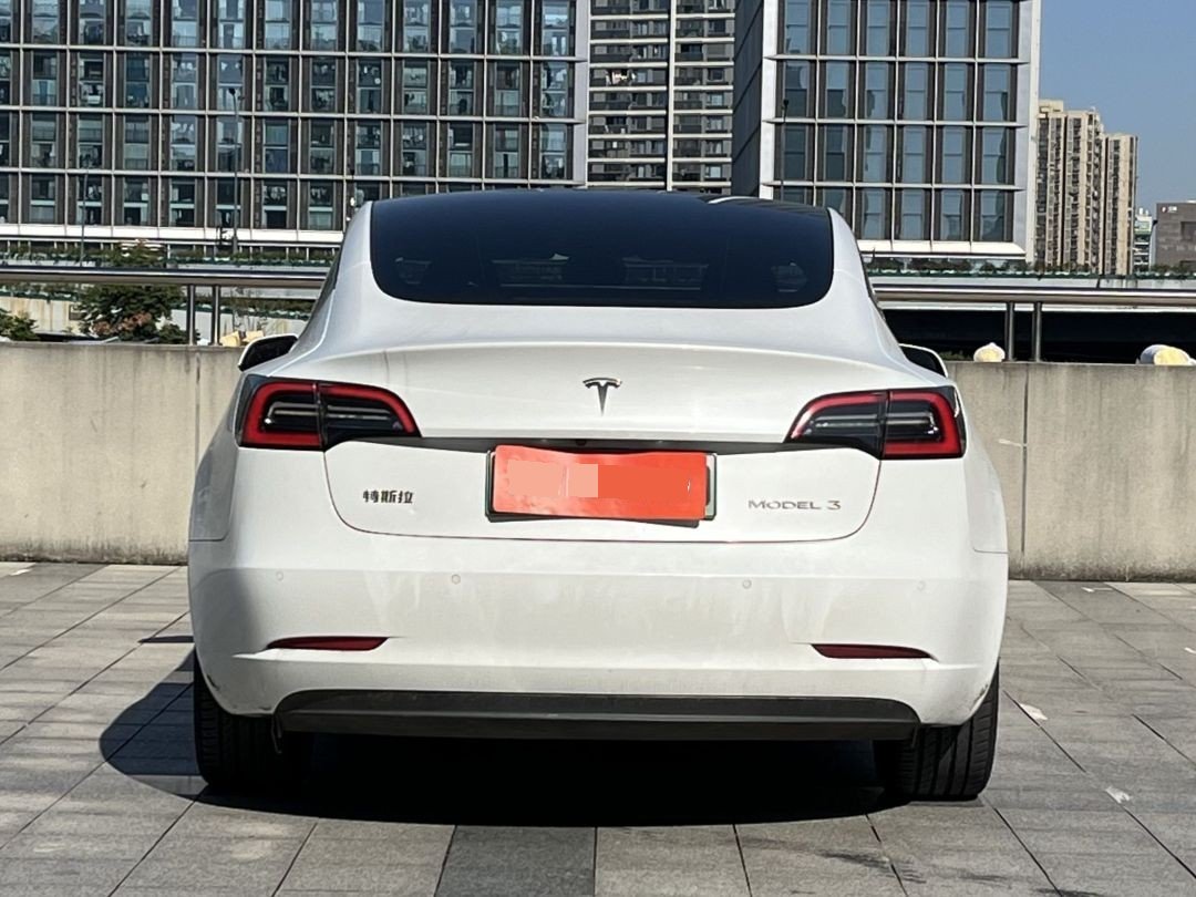 Tesla Model 3 2021 car image #6
