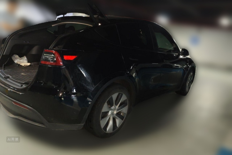 Tesla Model Y 2021 car image #7