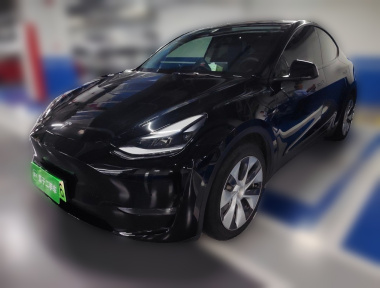 Tesla Model Y 2021 car image 