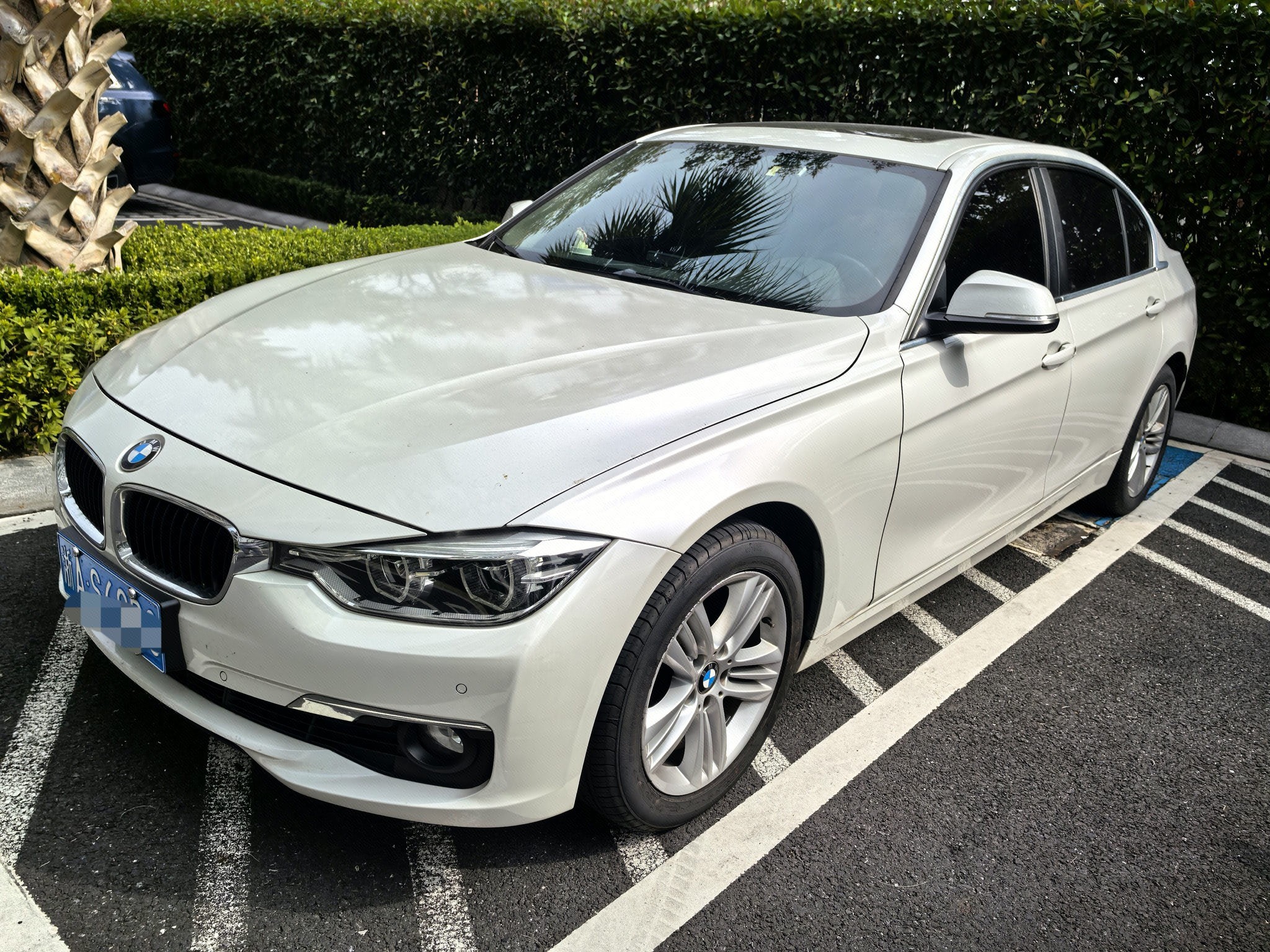 BMW 3 Series 2017 BMW 3 Series 2017 car image