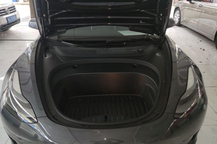 Tesla Model 3 2021 car image #20