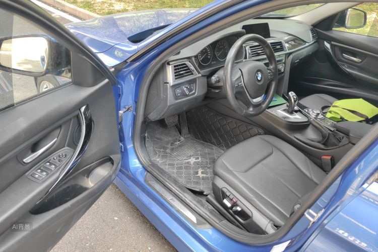 BMW 3 Series 2016 car image #18