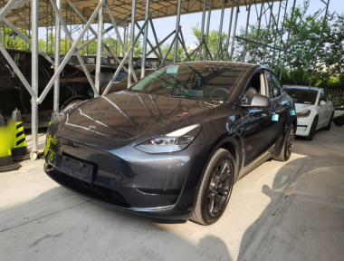 Tesla Model Y 2024 immagine di auto 