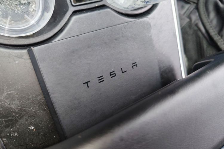 Tesla Model 3 2020 immagine di auto #10