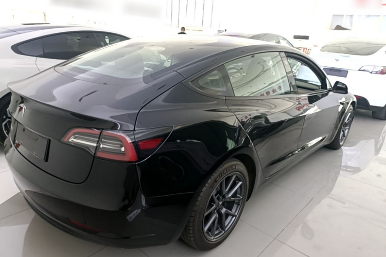 Tesla Model 3 2021 #7 Tesla Model 3 2021 car image #7
