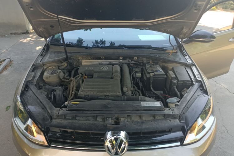 Volkswagen Golf 2017 car image #20