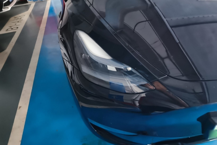 Tesla Model Y 2023 car image #5