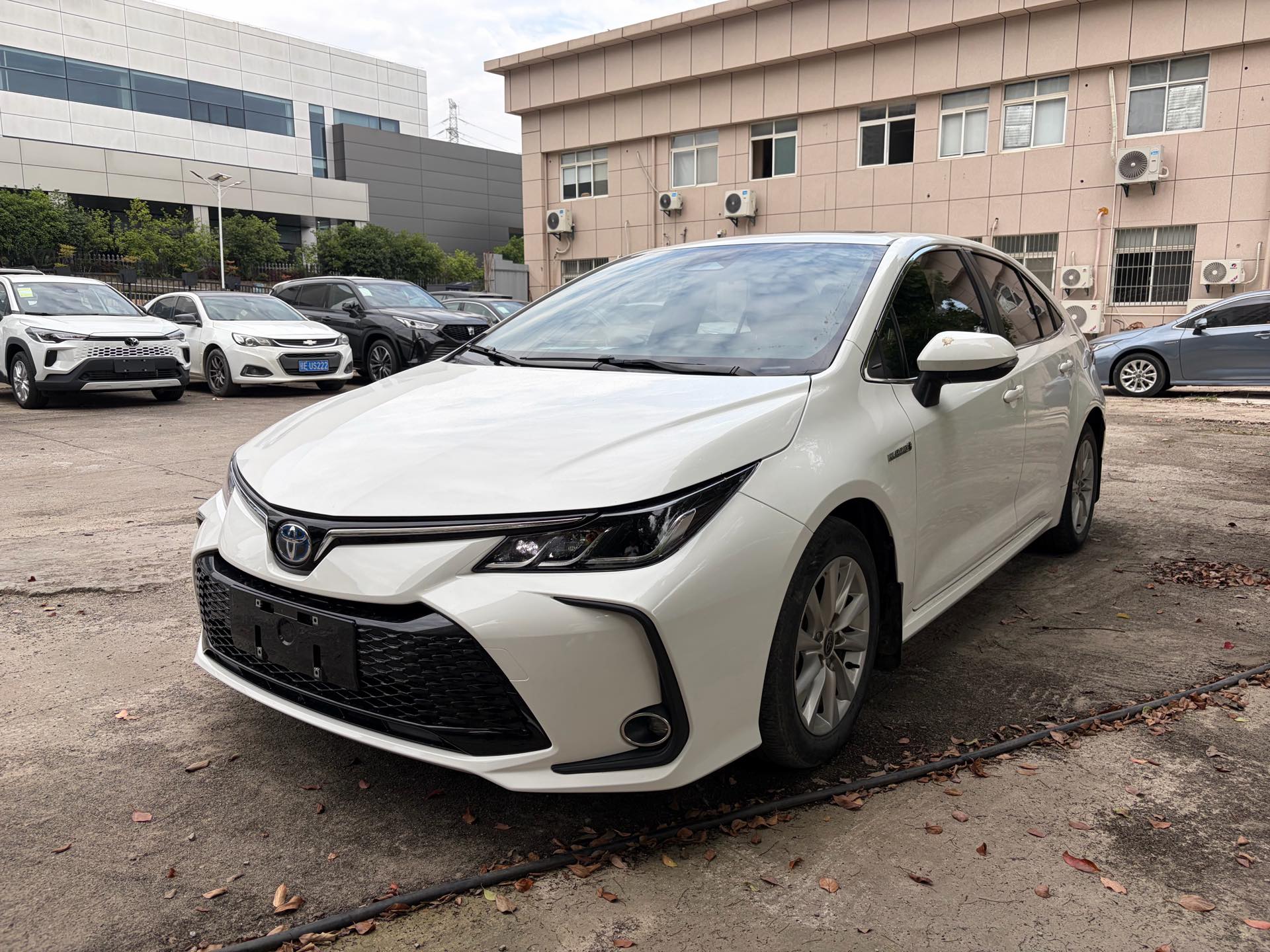 Toyota Corolla 2023 Toyota Corolla 2023 car image