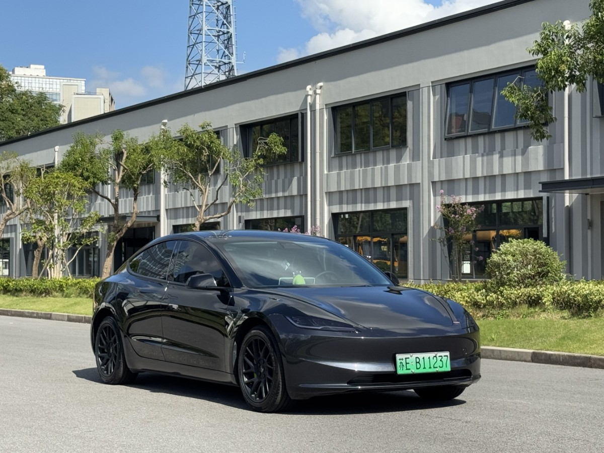 Tesla Model 3 2024 #6 Tesla Model 3 2024 car image #6