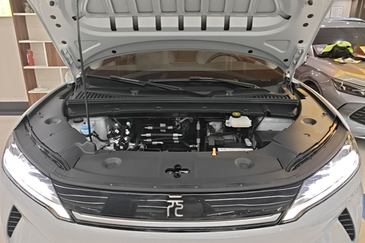 BYD YuanUP 2024 #22 BYD YuanUP 2024 immagine di auto #22