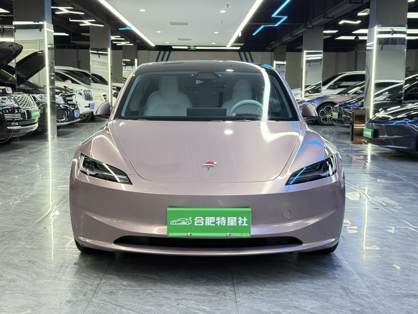 Tesla Model 3 2024 car image 